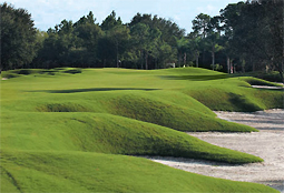 Grande Pines Golf Club FL L5.jpg - Teebone Golf Courses Images